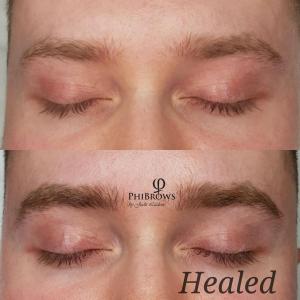 Healed male brows